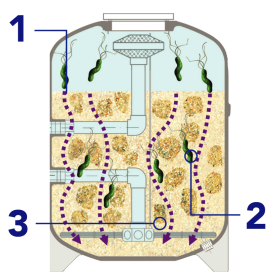 kênh dẫn lớp lọc