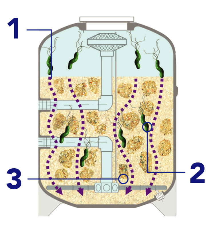 kênh dẫn lớp lọc